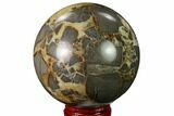 Polished Septarian Sphere - Utah #167618-1